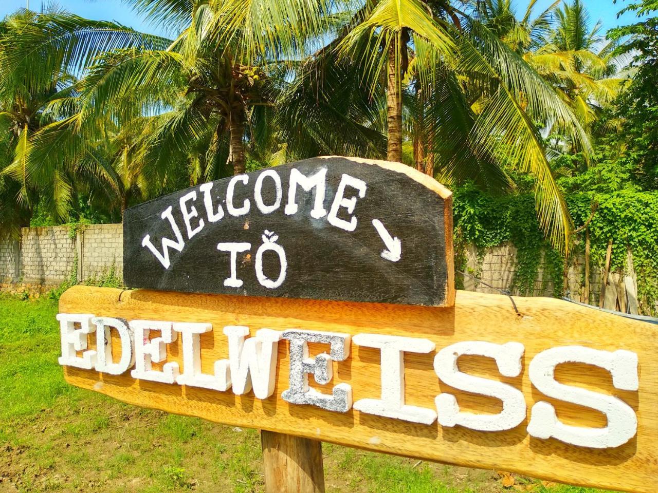 Edelweiss Homestay Kuta  Ngoại thất bức ảnh